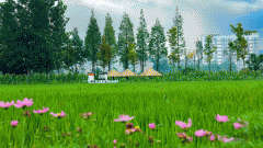 4、担任对出产部分进行新产物拆卸工艺进