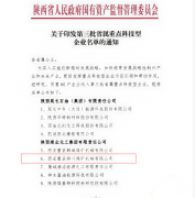 公司不竭完美手艺立异