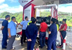 成延期、变动、新增核查共36起